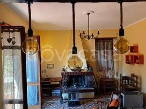 immagine annuncio 9 di 14