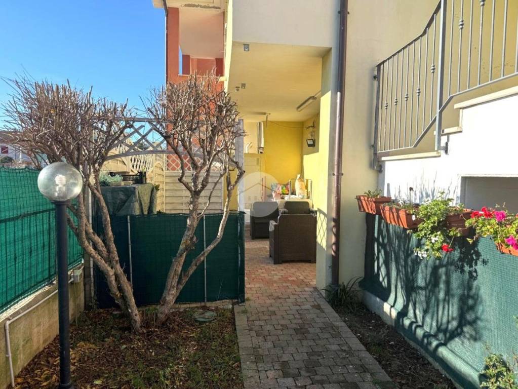 immagine annuncio 3 di 14