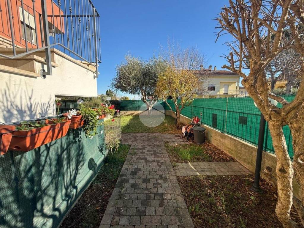 immagine annuncio 4 di 14