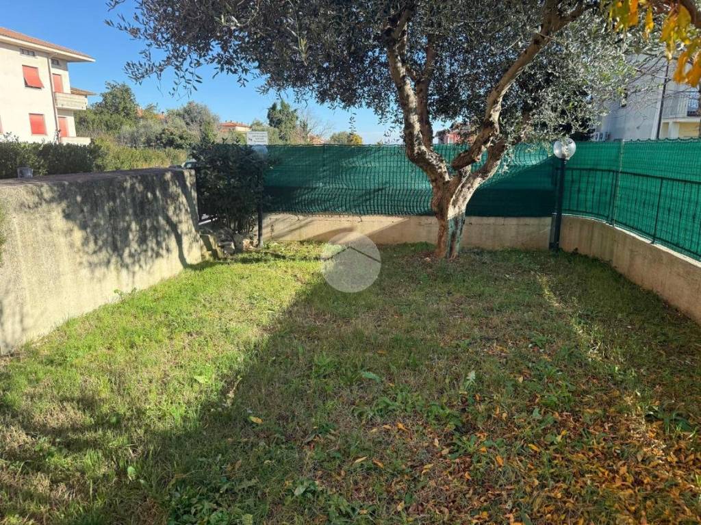 immagine annuncio 5 di 14