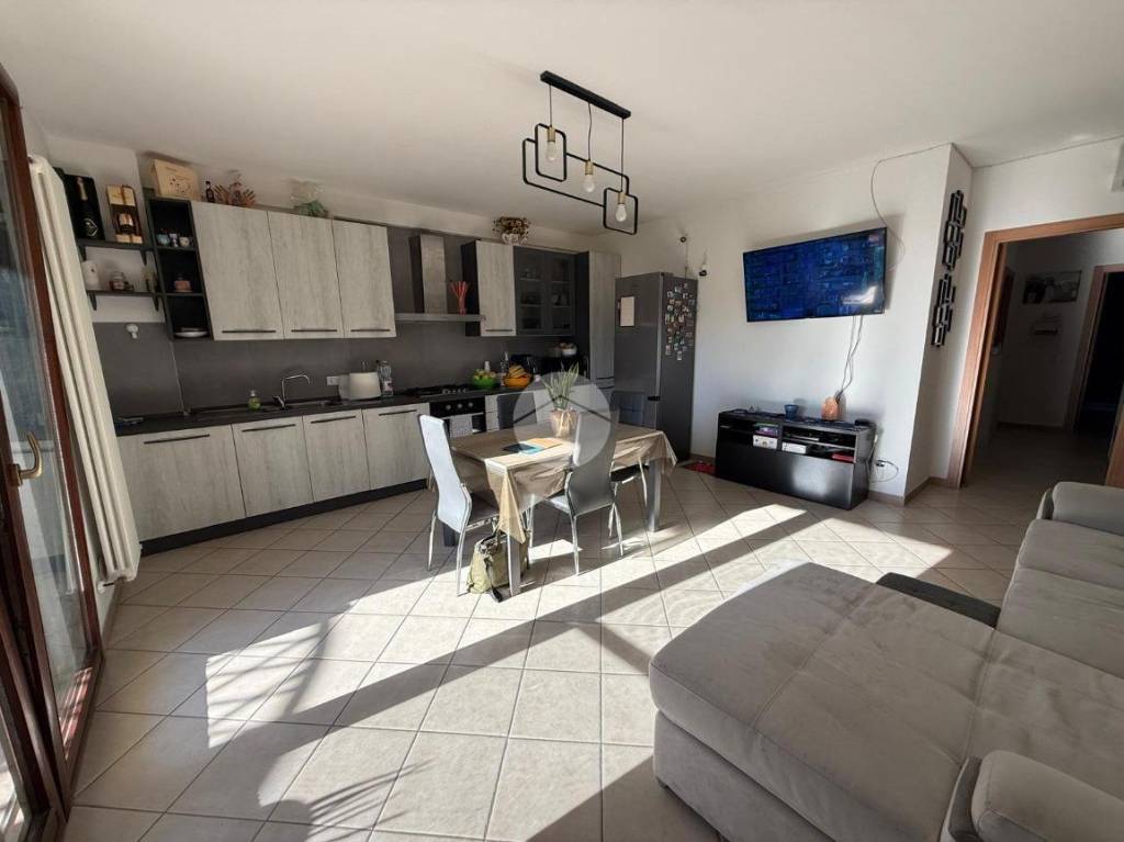 immagine annuncio 7 di 14