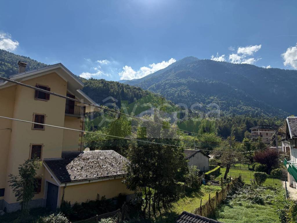 immagine annuncio 12 di 14