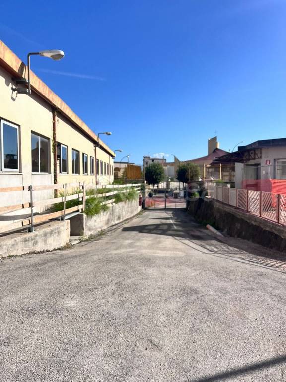 immagine annuncio 3 di 7