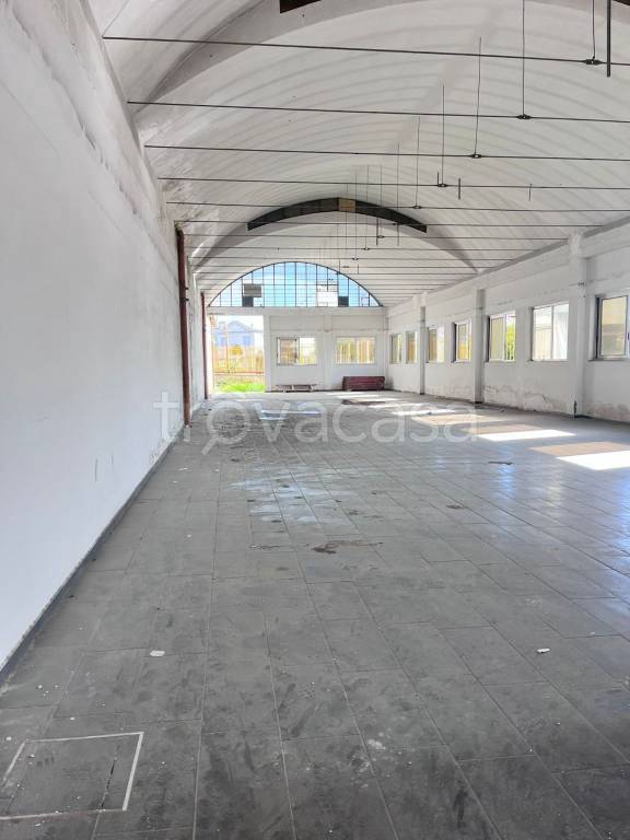 immagine annuncio 4 di 6