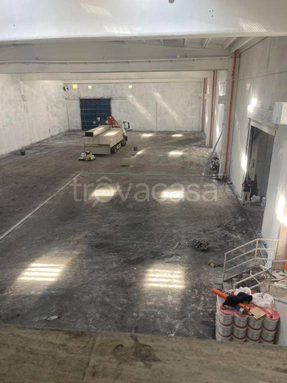 immagine annuncio 3 di 13