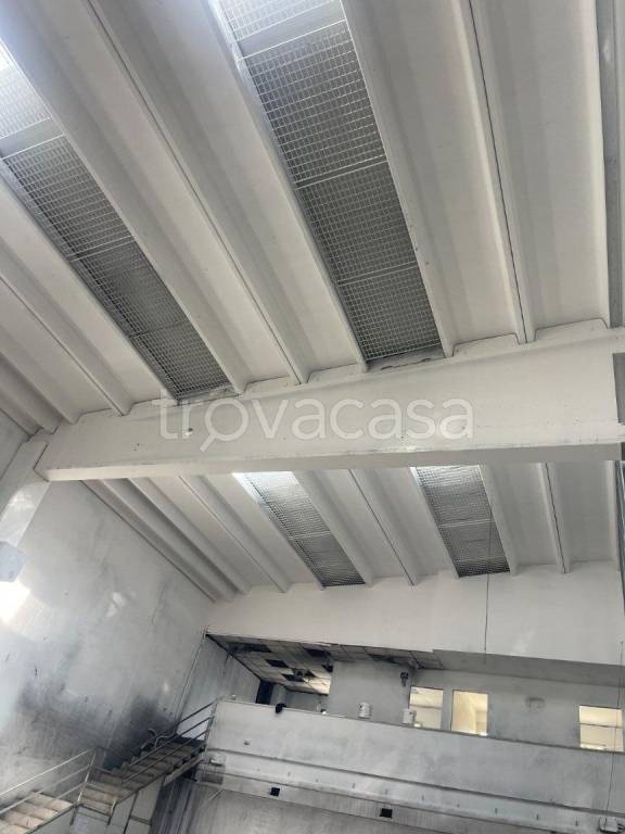 immagine annuncio 9 di 13