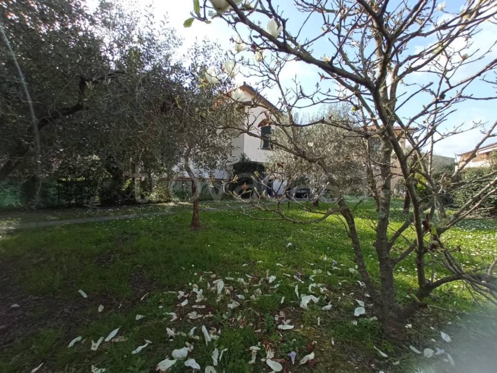 immagine annuncio 1 di 8