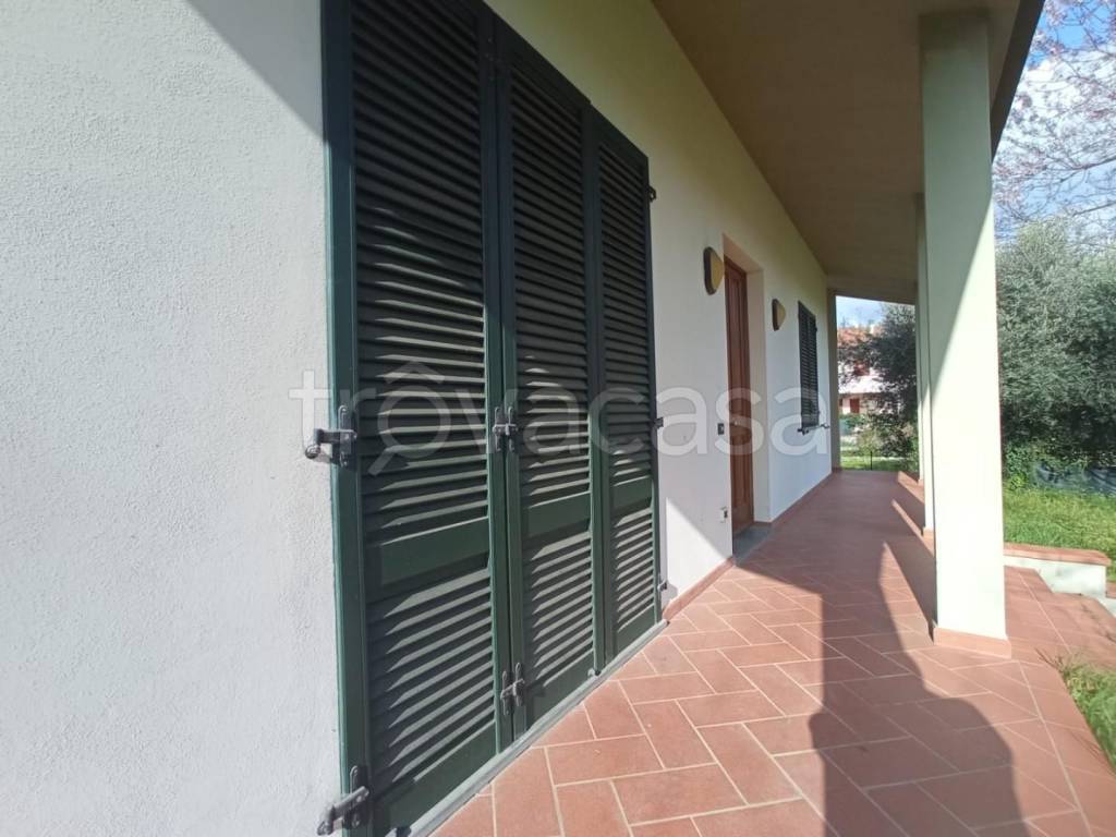 immagine annuncio 5 di 8