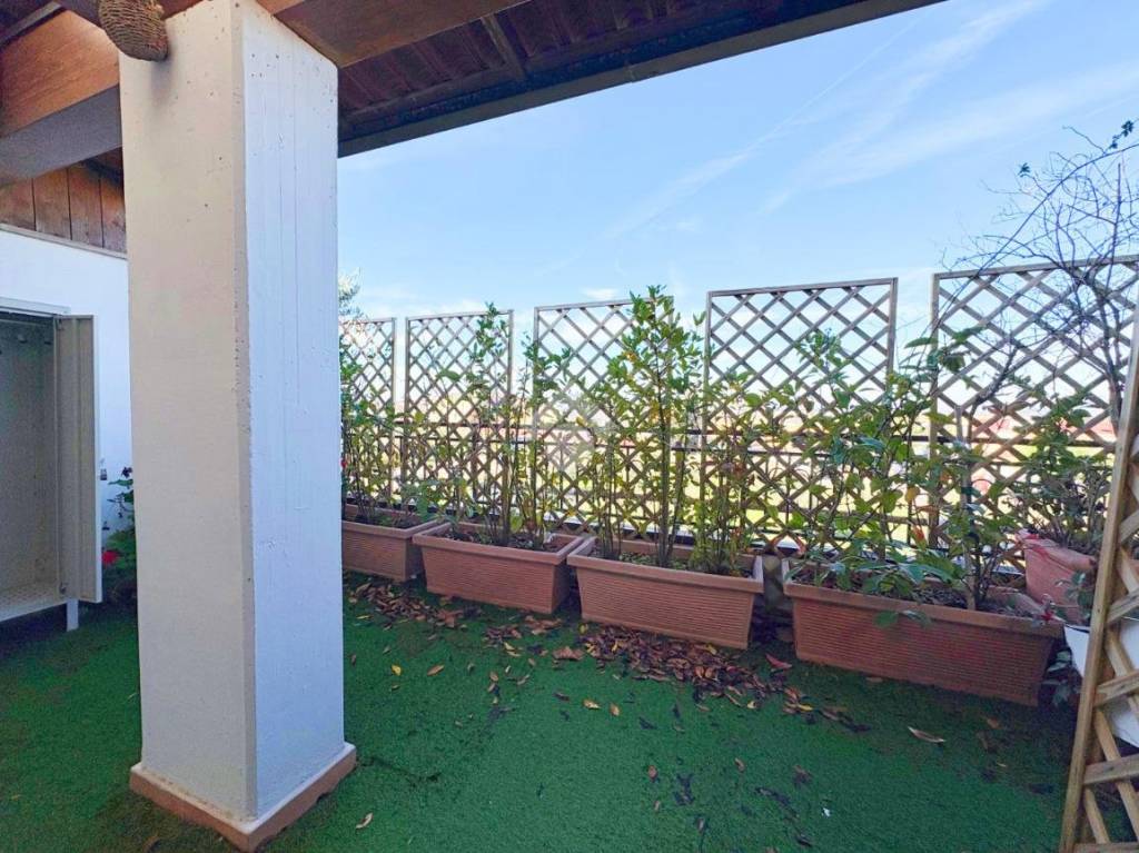 immagine annuncio 12 di 15