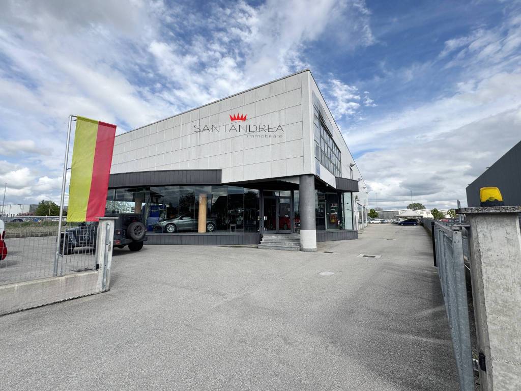 immagine annuncio 1 di 12