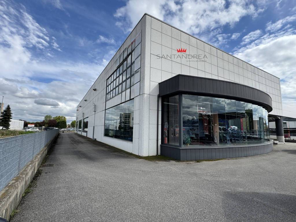 immagine annuncio 3 di 12