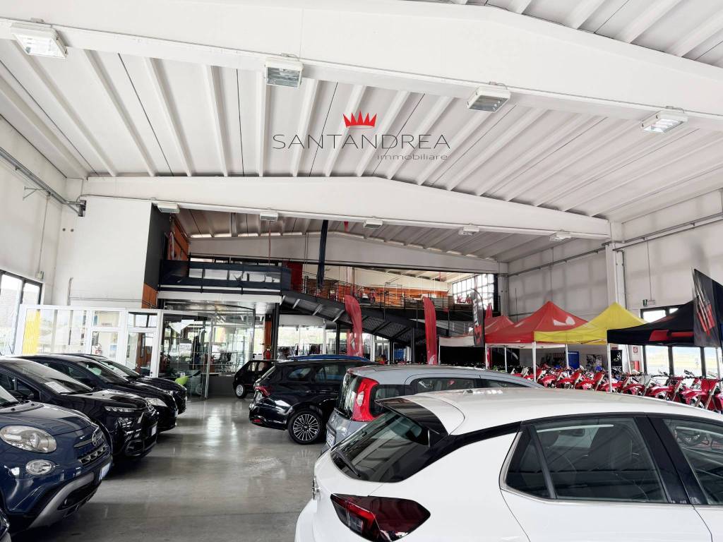 immagine annuncio 5 di 12