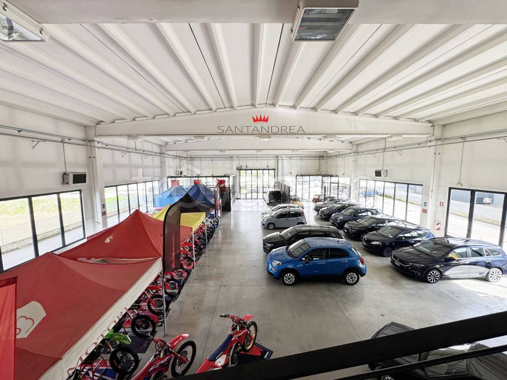 immagine annuncio 9 di 12