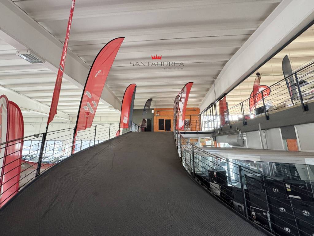 immagine annuncio 10 di 12