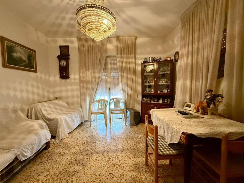 immagine annuncio 1 di 14