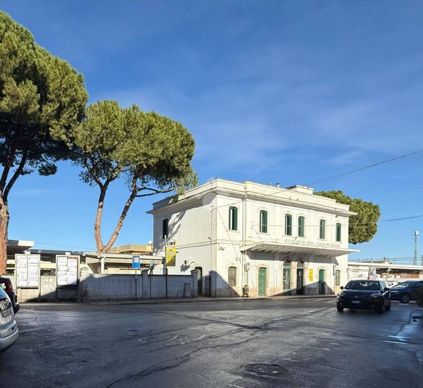 immagine annuncio 12 di 14