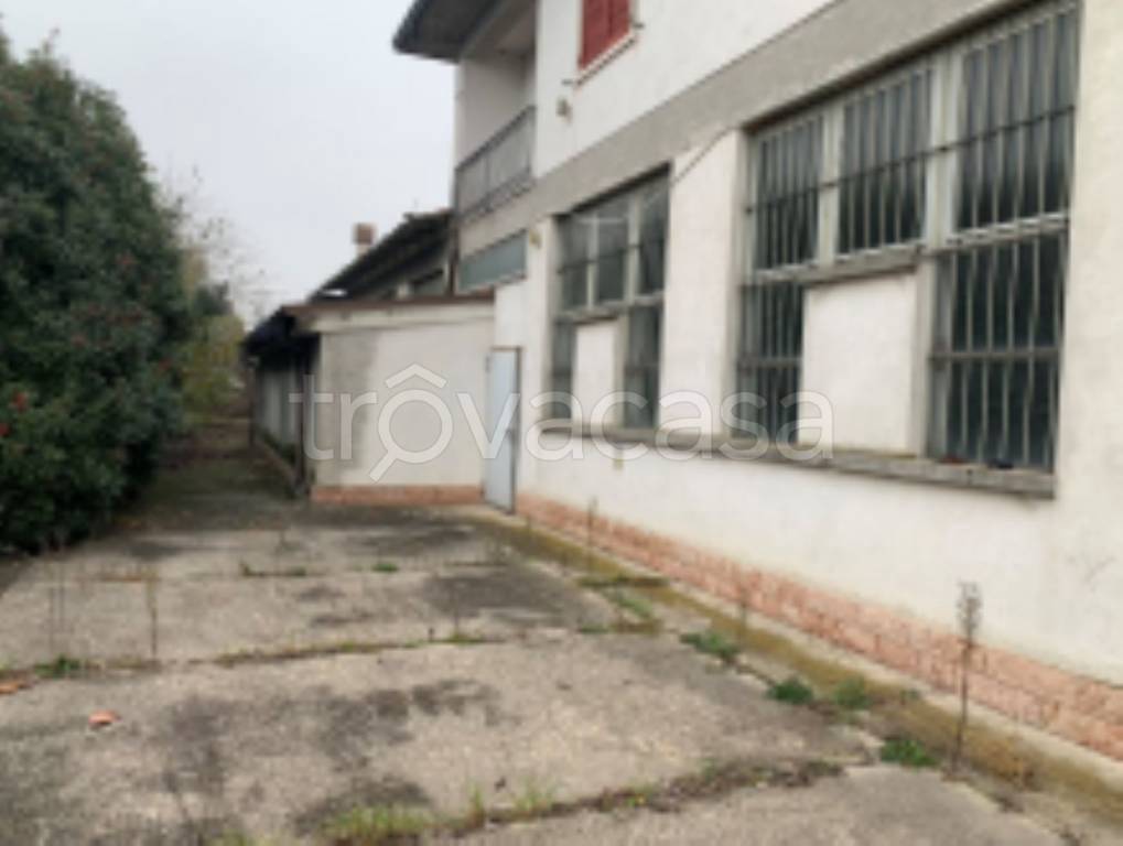 immagine annuncio 5 di 11