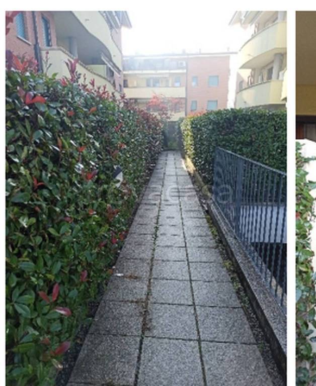 immagine annuncio 4 di 12