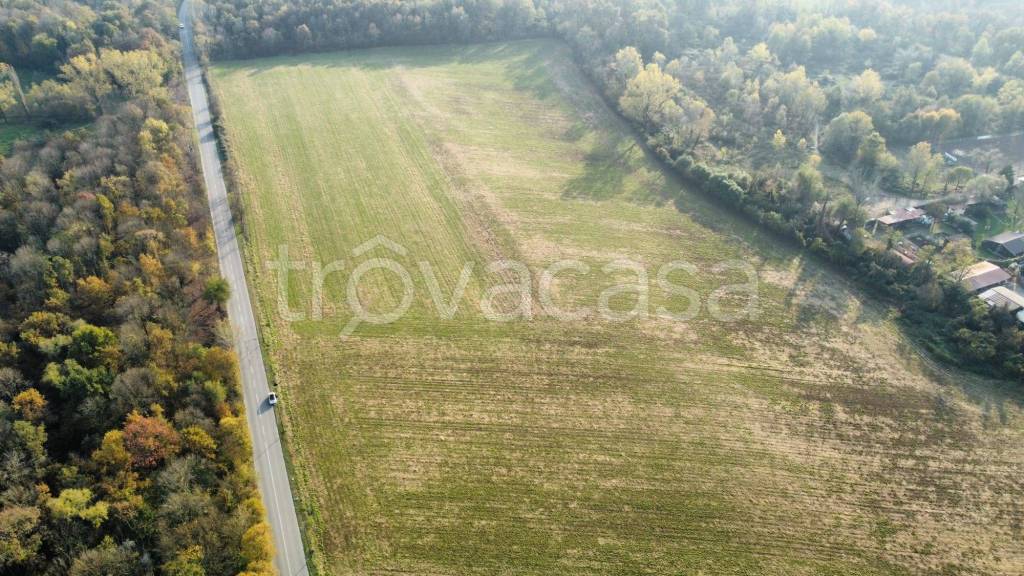 immagine annuncio 2 di 4