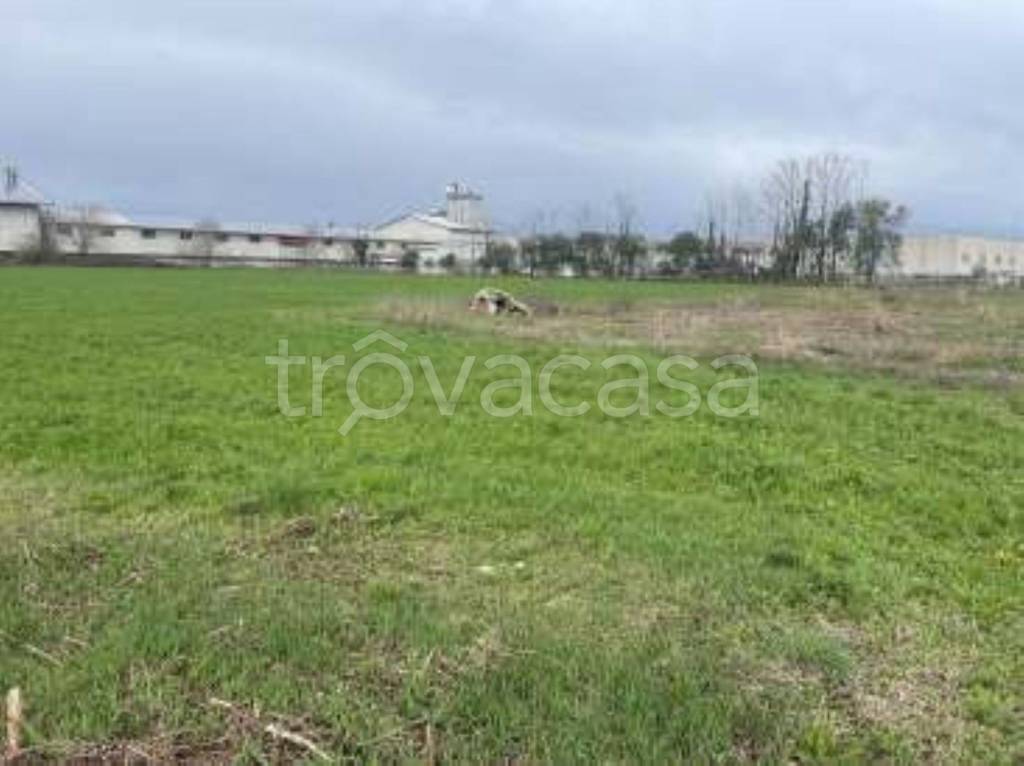 immagine annuncio 11 di 12