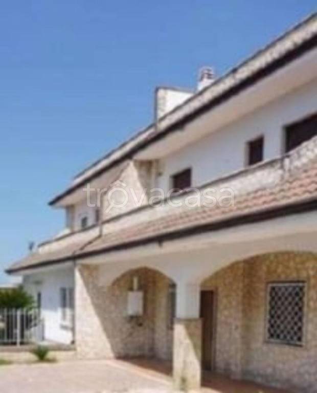 immagine annuncio 5 di 11