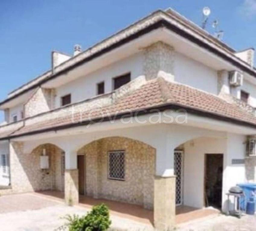 immagine annuncio 6 di 11