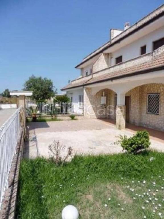 immagine annuncio 8 di 11