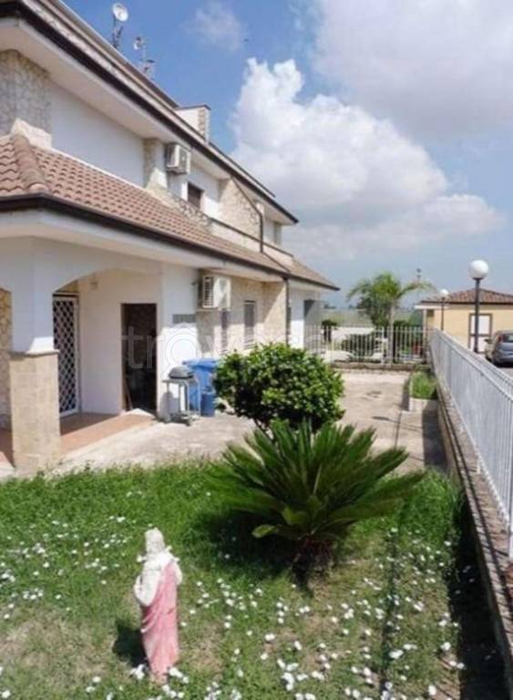 immagine annuncio 9 di 11