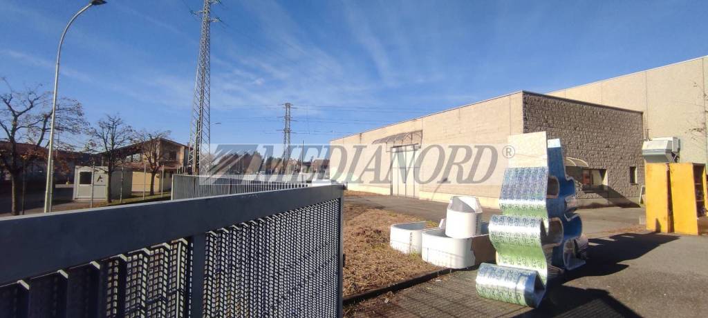 immagine annuncio 12 di 15