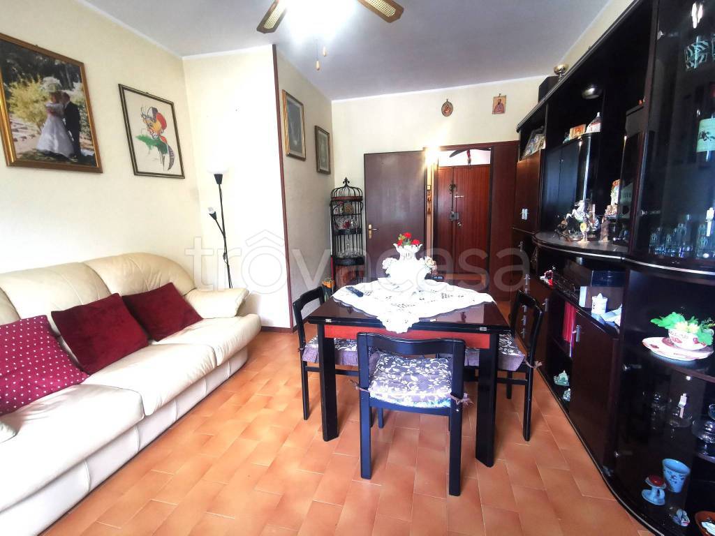 immagine annuncio 1 di 12