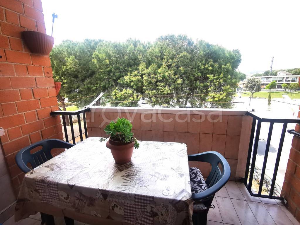 immagine annuncio 7 di 12