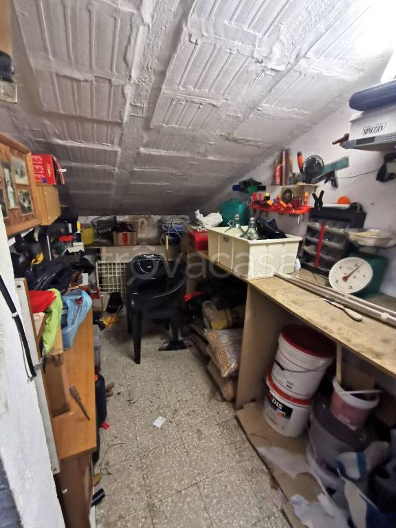 immagine annuncio 10 di 12