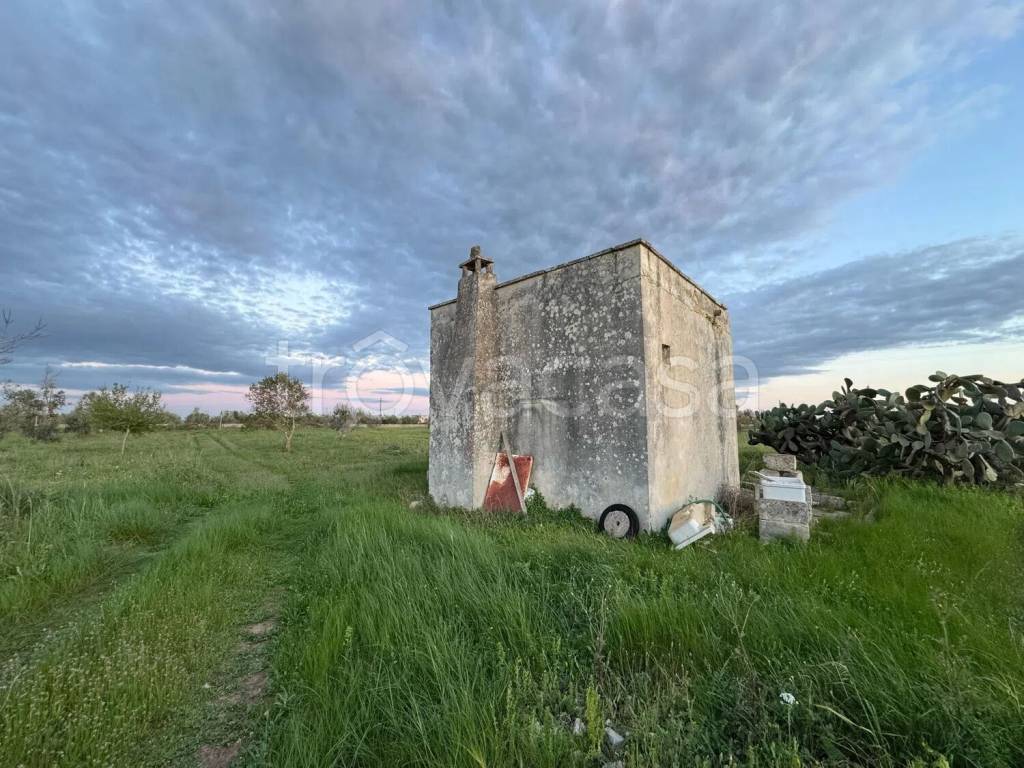 immagine annuncio 3 di 7