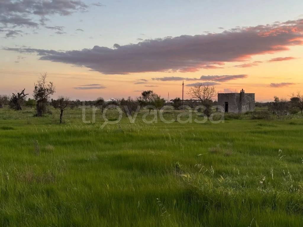 immagine annuncio 4 di 7