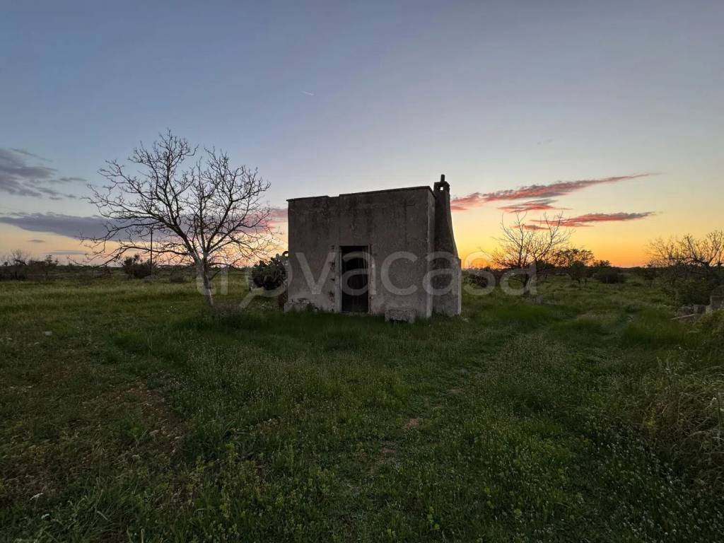 immagine annuncio 5 di 7