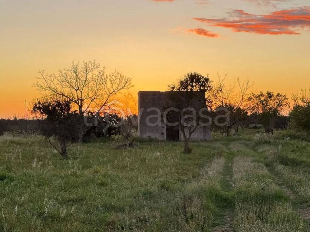 immagine annuncio 6 di 7