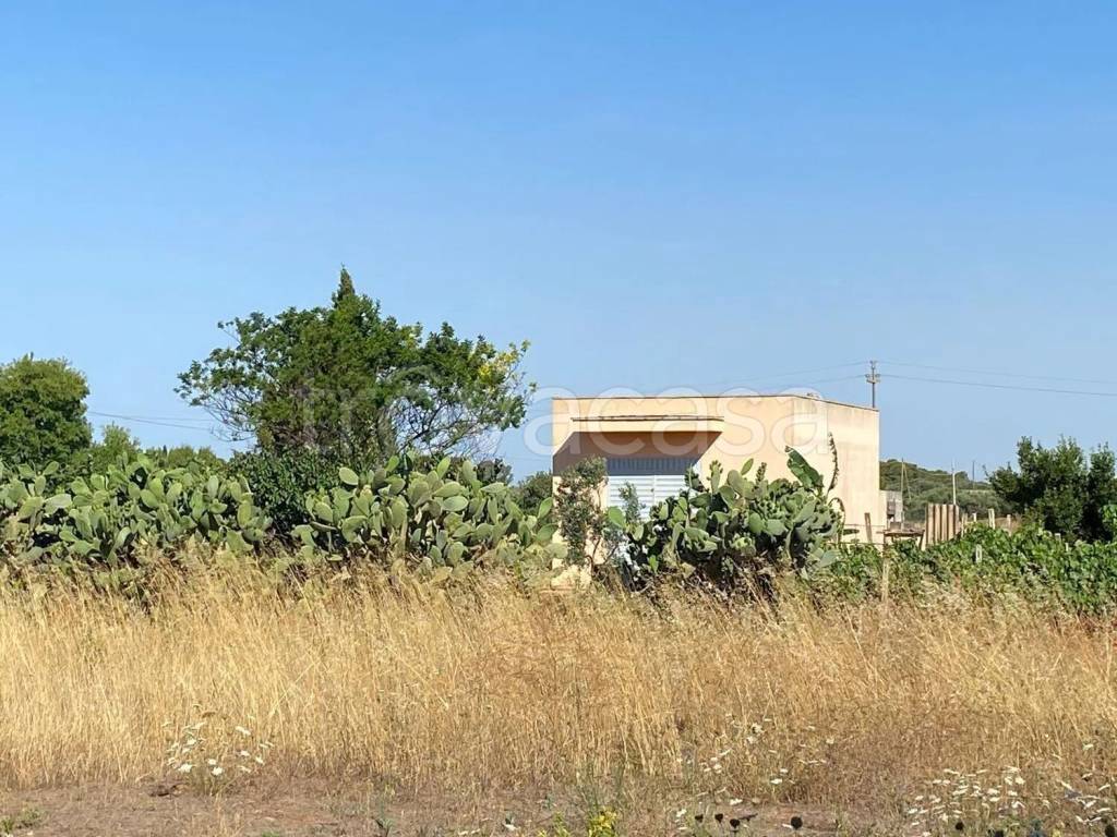 immagine annuncio 2 di 9