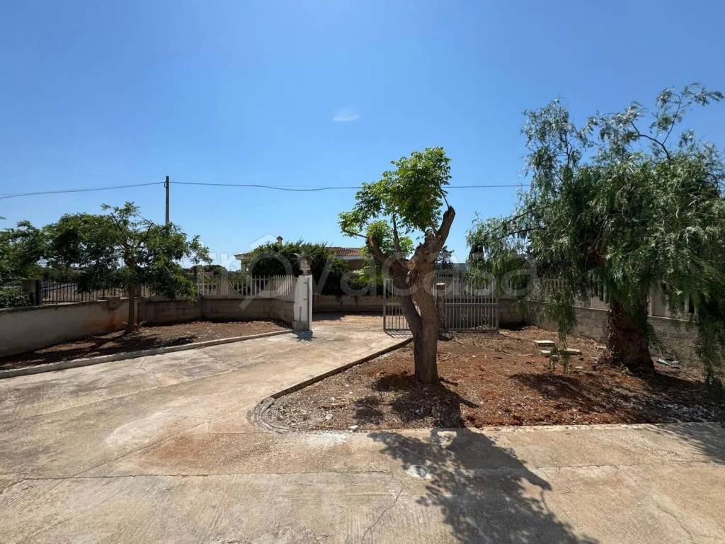 immagine annuncio 11 di 12