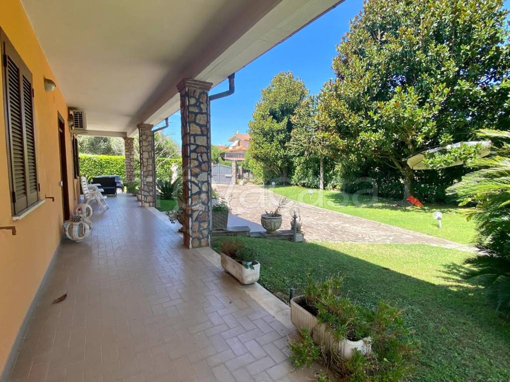 immagine annuncio 2 di 8