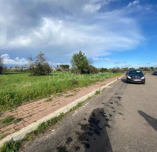 immagine annuncio 2 di 8