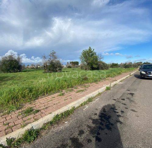 immagine annuncio 4 di 8