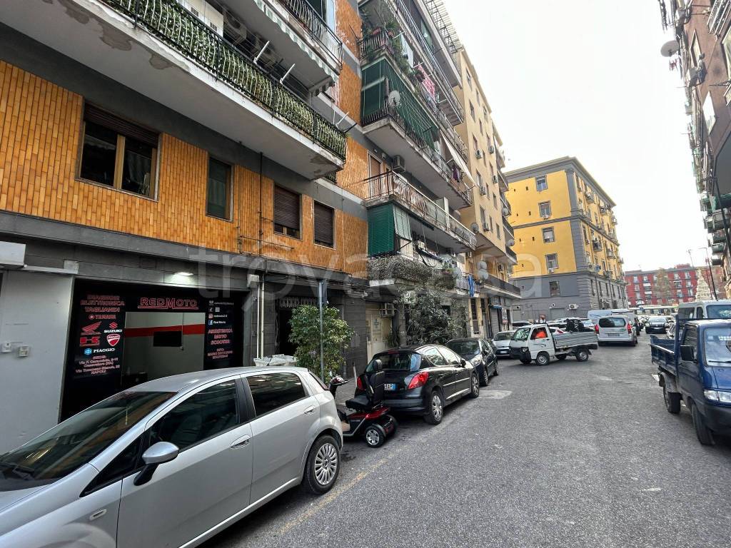 immagine annuncio 11 di 13