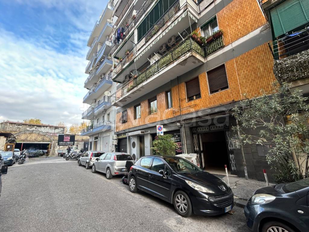 immagine annuncio 12 di 13