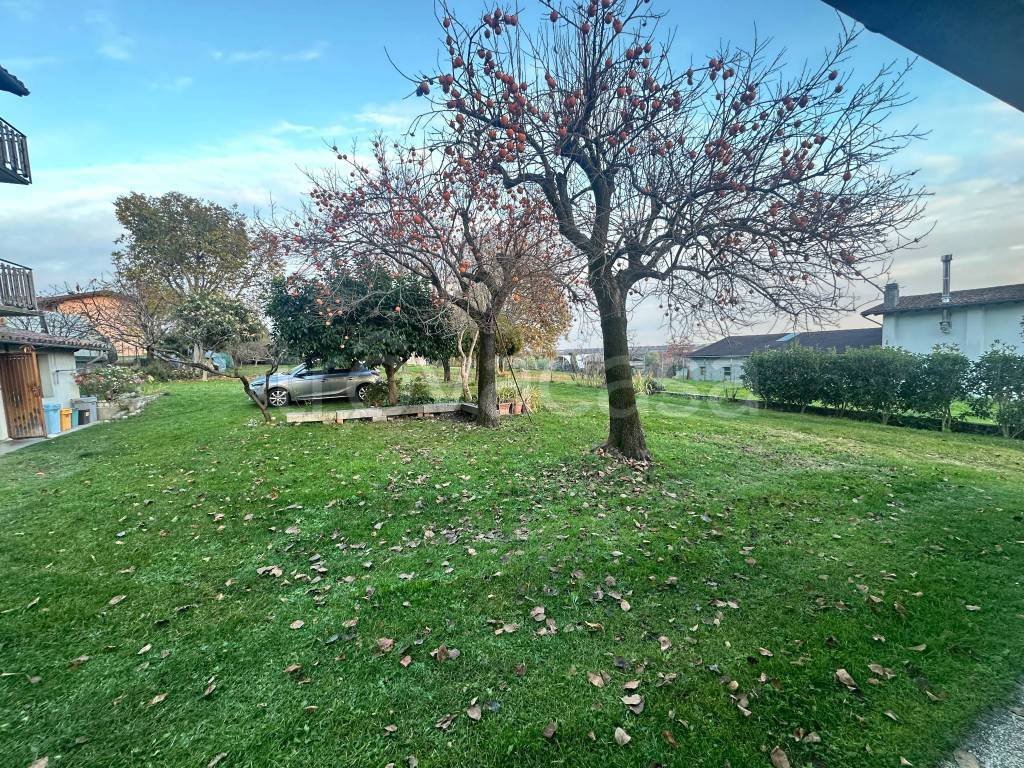 immagine annuncio 5 di 14