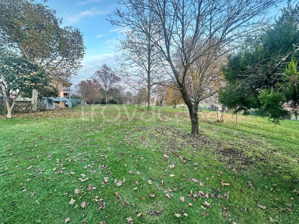 immagine annuncio 13 di 14