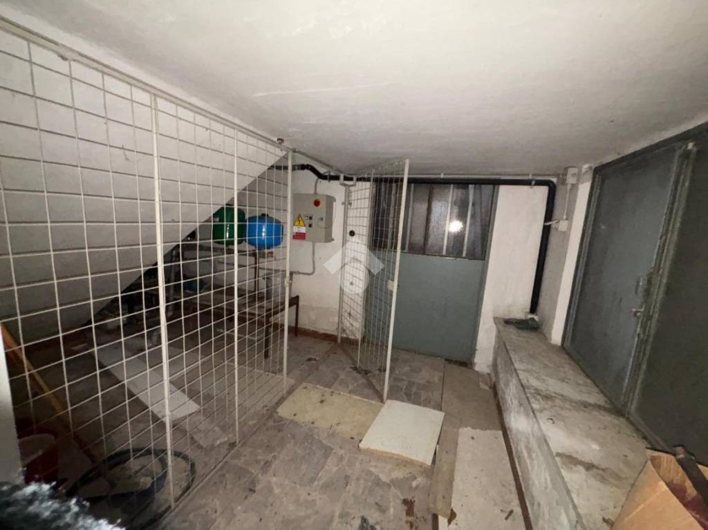 immagine annuncio 7 di 8