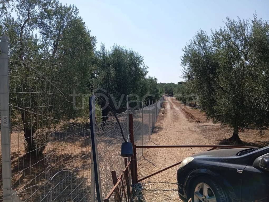 immagine annuncio 1 di 4