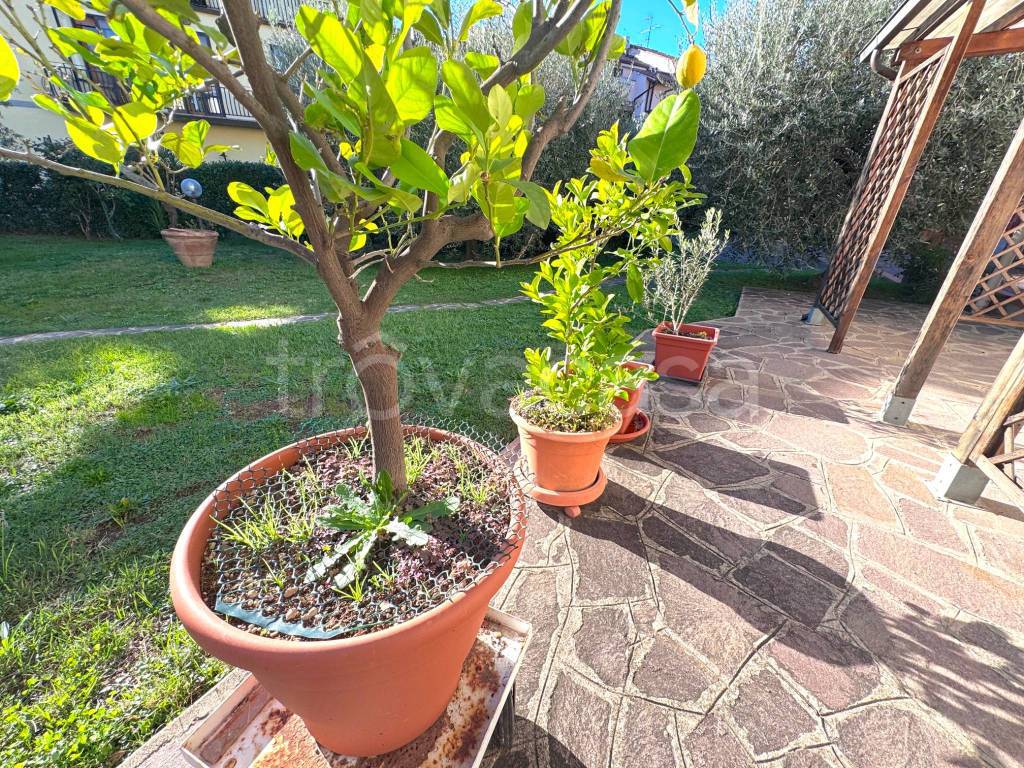 immagine annuncio 14 di 15