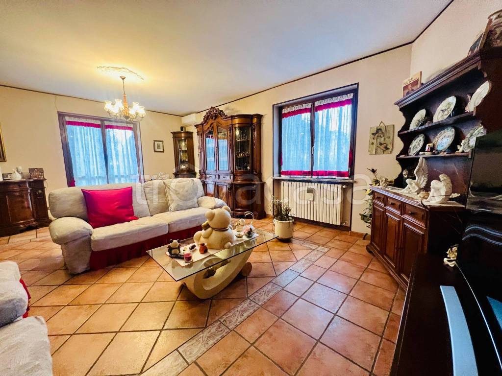 immagine annuncio 3 di 14