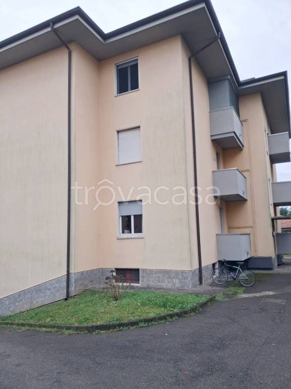 immagine annuncio 5 di 12